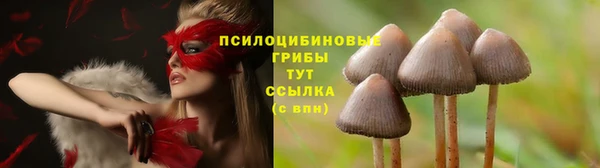 PSILOCYBIN Богданович